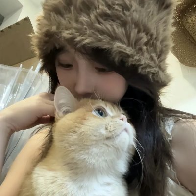 动画纪实