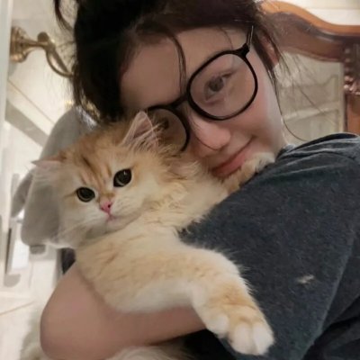 狐门秘事第一季 在线观看